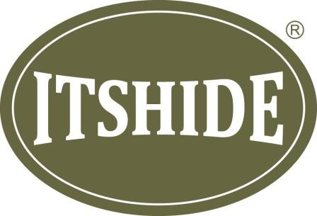 ITS Hide Logo